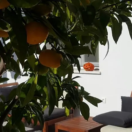Apartman Kairos